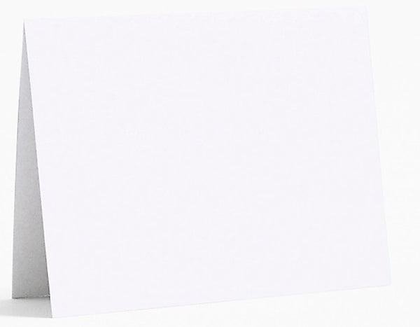 A2 folded notecards - 10 pack