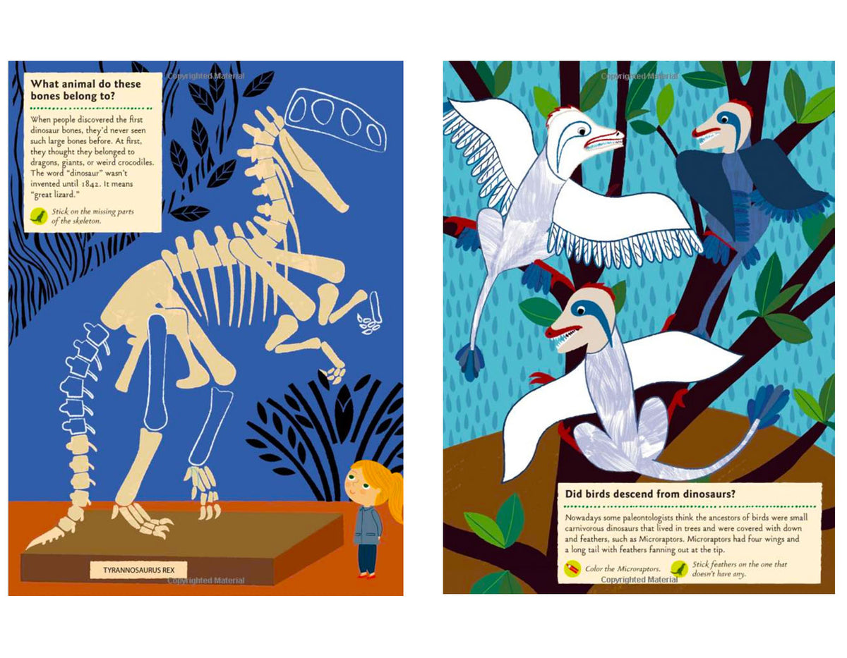 Birds of the World: My Nature Sticker Activity Book — Science Activity -  Pretty Things & Cool Stuff