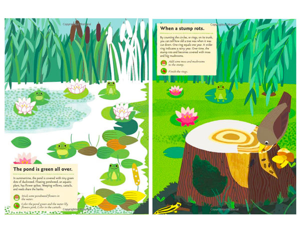 My Nature Sticker Activity Book