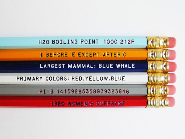 Paper Pastries Know It All Pencil Set