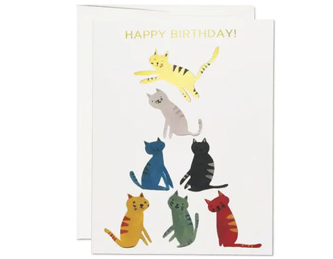 Gold Kitty Birthday Greeting Card