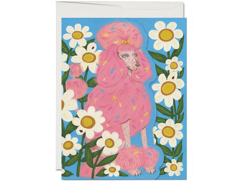 Pink Poodle Friendship Greeting Card