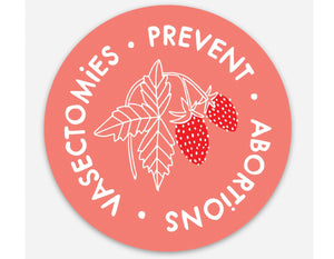 Sticker / Vasectomies Prevent Abortions