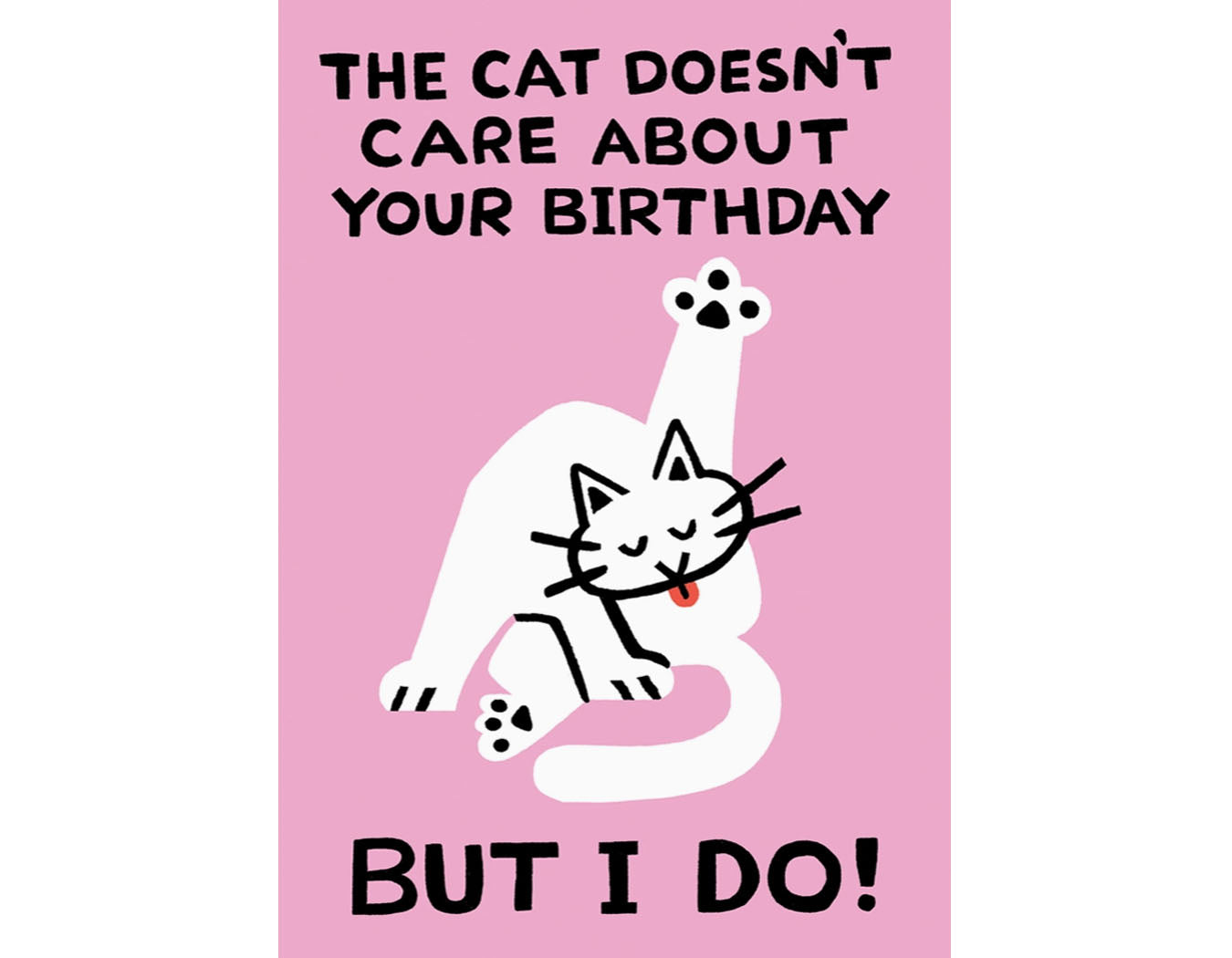 ‘the Cat Doesn’T Care’ Birthday Greetings Card