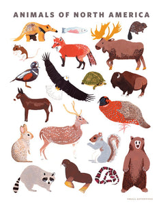 ANIMALS OF NORTH AMERICA 11 x 14 PRINT