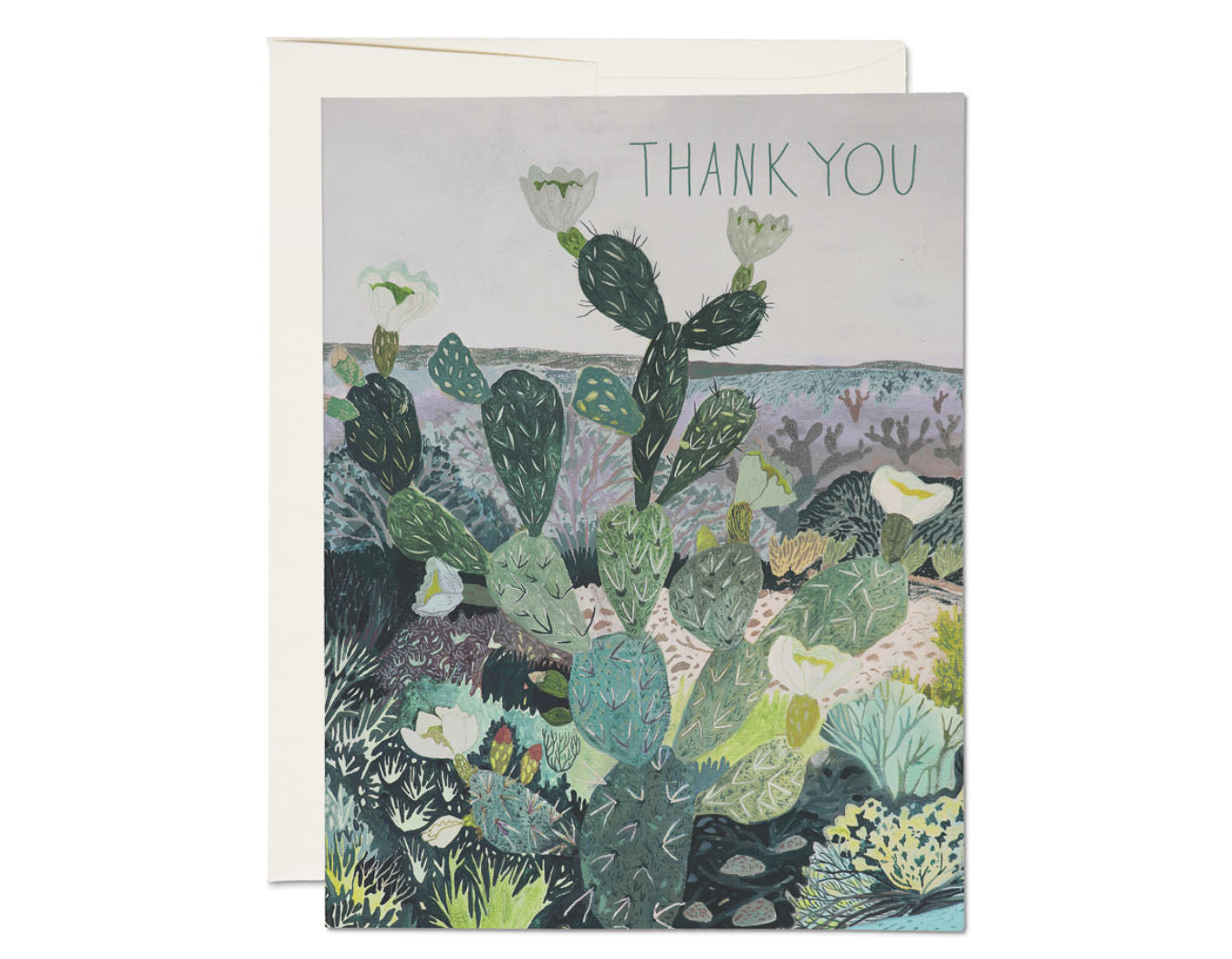 greeting card with cactus landscape text reads thank you 
