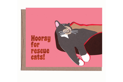 Hooray for rescue cats!