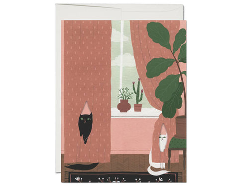 die cut card with black and white cats, inside a pink room with a house plant, black rug, and window view of clouds.