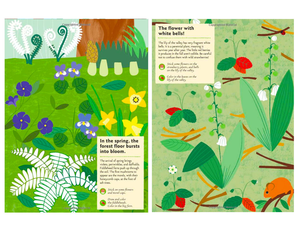 In the Vegetable Garden: My Nature Sticker Activity Book - Science Act -  Pretty Things & Cool Stuff