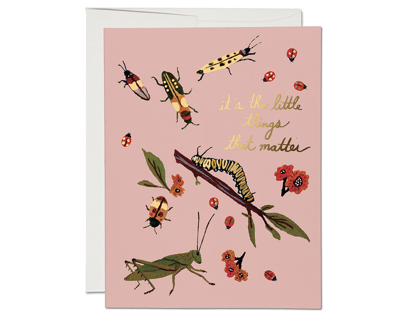 pale pink background gold foil text it's the little things that matter illustrated insects and twig