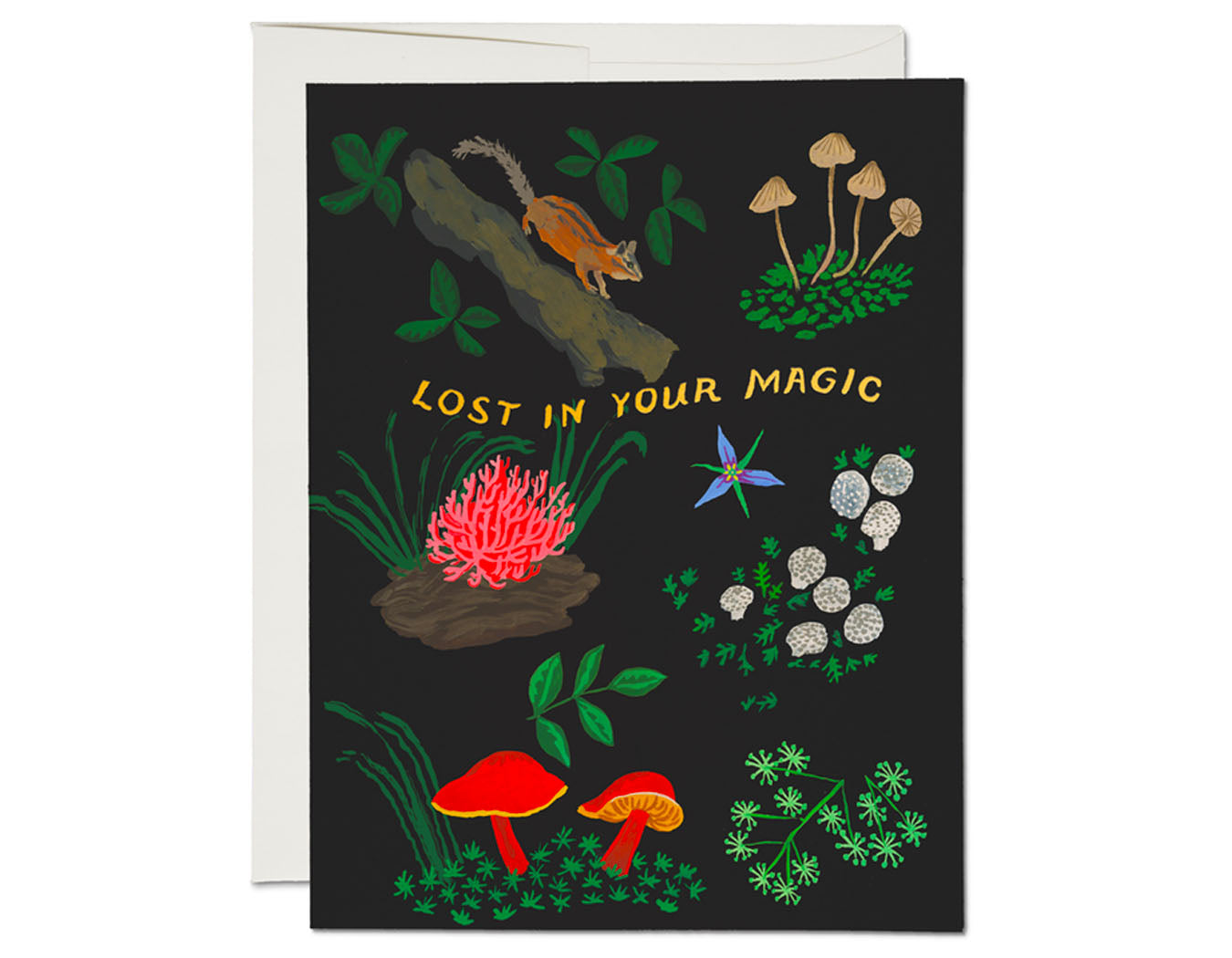 black background woodlood creatures and mushrooms flora and fauna text reads lost in your magic 