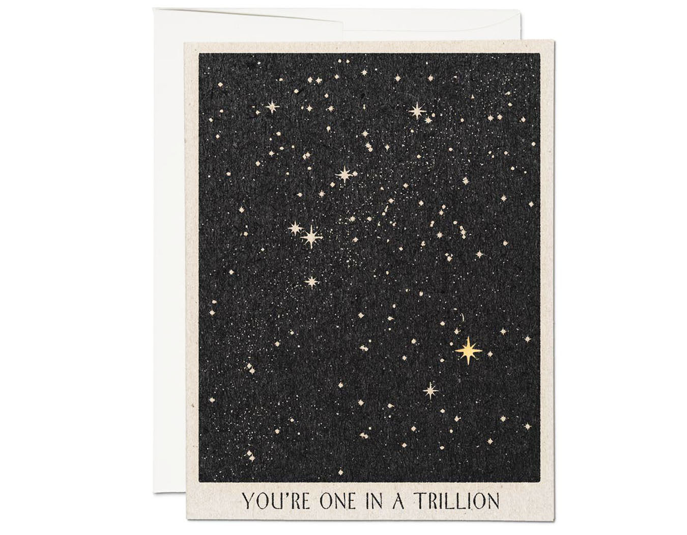 dark background with splatter of stars, one gold foil star. text reads you're one in a trillion